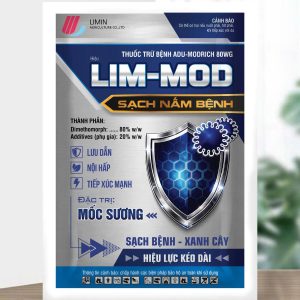 Lim-Mod